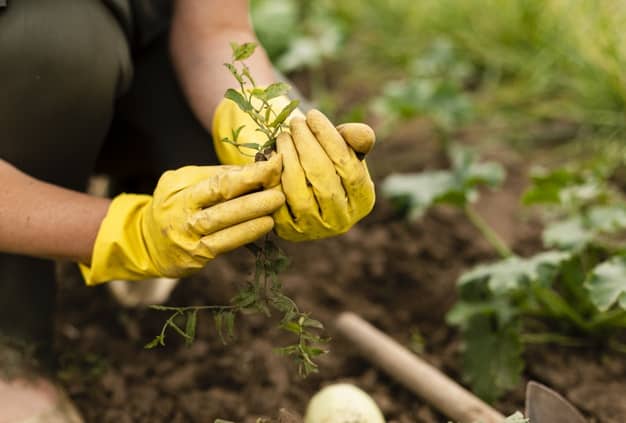 Las 3 tareas clave para cuidar de tu jardín esta primavera