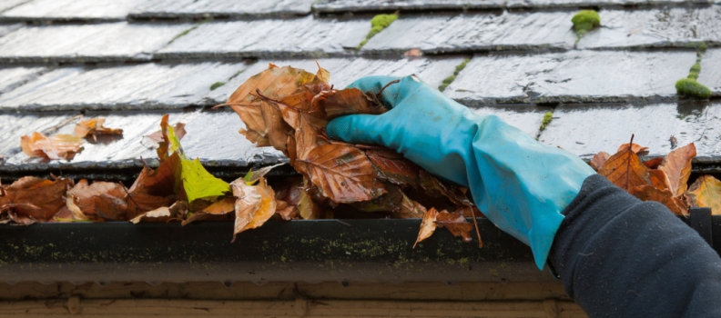 ¿Cómo limpiar tus canalones para evitar goteras y humedades en otoño?